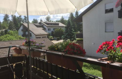 Ferienwohnung Kuckuck auf dem Sommerberg incl Schwarzwald Plus-Karte - 2 Zimmer 50qm - Foto 24