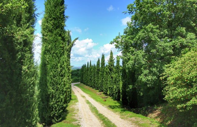Scenic Tuscan Farmhouse - Foto 36
