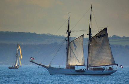 The Nest - Thatched seaside country cottage for two - Foto 45