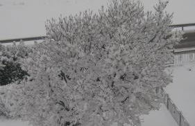 La Gallina - Foto 33