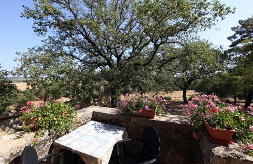 Agriturismo Torrenieri da Alessandro - Foto 13