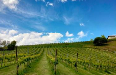 Agroturismo Erlete Goikoa -ESTAMOS EN EL CAMINO DE SANTIAGO -WE ARE ON THE CAMINO DE SANTIAGO- SENDERISMO-RUTAS Y BICICLETA - Photo 13