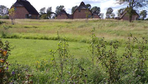 Reetdorf Geltinger Birk Malerhaus Niedermoor - Foto 4, Garden view