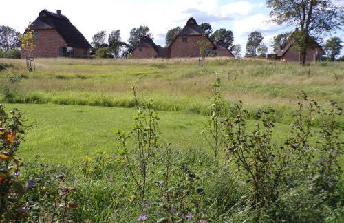 Reetdorf Geltinger Birk Malerhaus Niedermoor - Foto 4