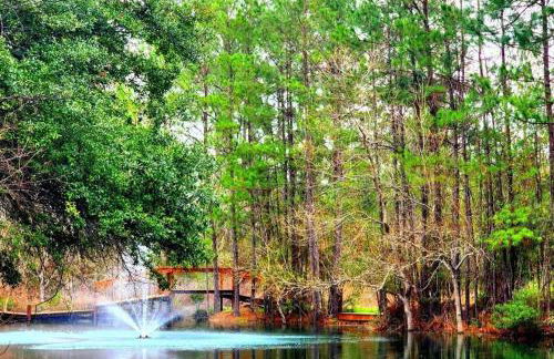 Waterfront Houston Hide out In A Magical Forest - Foto 21