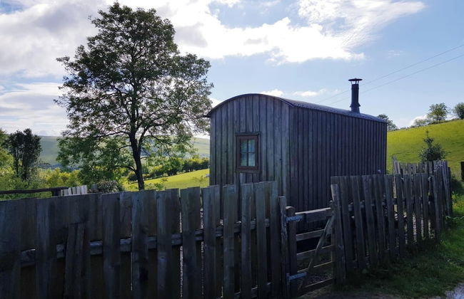 Eco Accommodation Cornflower Holiday - Foto 27