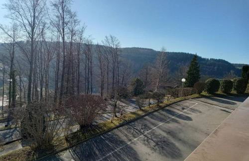 Duplex - Proche de Gérardmer - Foto 24