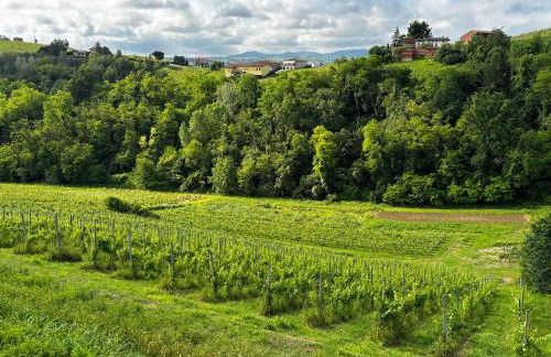 Agriturismo Casa Casoni - Foto 23