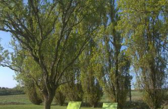 Maison spacieuse et grand jardin entre RIA et Océan - Foto 16