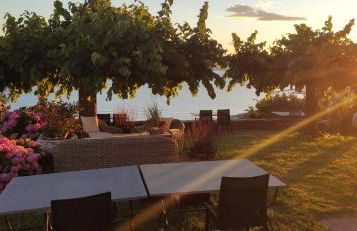 Olivenere agriturismo - Foto 25