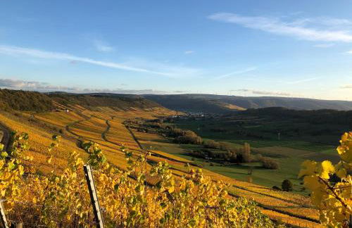 Ferienwohnung im Kirchberg - Foto 19
