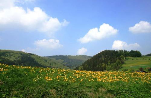 Helle Wohnung bei Willingen mit Terrasse - Foto 24