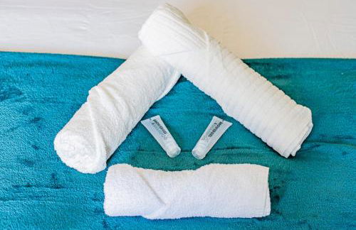 Le Petit Anatole - Proche Gare - Netflix - Foto 20