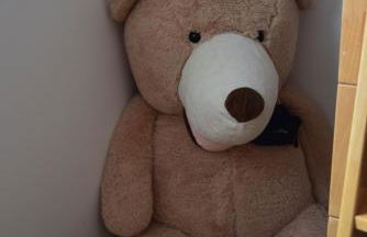 Eifelzauber Thielen - Foto 19