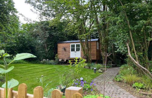 Tranquil Spot Shepherds Hut - Foto 13