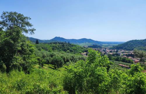 Residence Magnolia - Photo 6