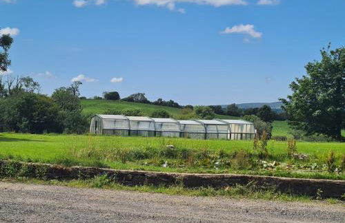 Sandpiper Cottage - Foto 11