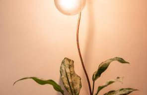 Casa Anavilhanas - Foto 56