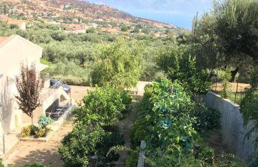 The Olive Orchard - Foto 13