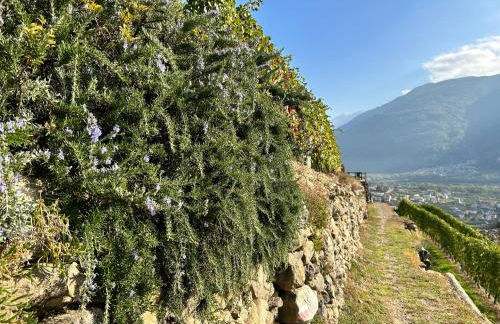 Valtellinda - Foto 54