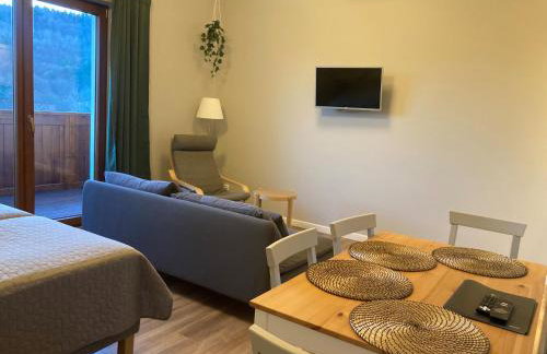 Apartamenty Black Lion - Foto 72