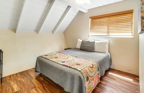 Sea Turtle Life - Photo 22