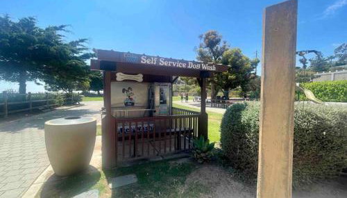 Summer Lillie #3 - Foto 3