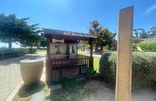 SummerLillie #1 - Foto 28