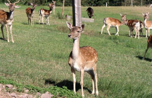 Kienbronnerhof - Foto 9