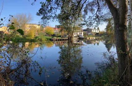 Alt-Berliner Schwanenhof - Ferienwohnungen Lychen - Photo 19