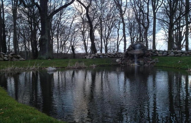 Wooden House in Plate Near Lake Schwerin - Foto 28