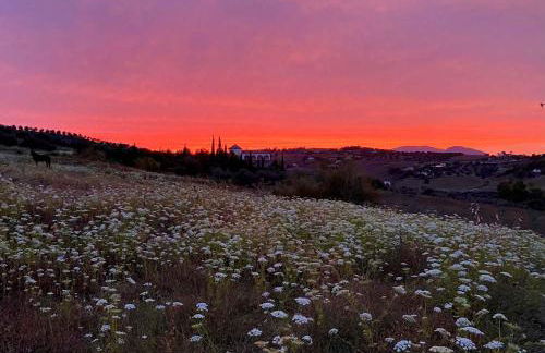 La Rústica en Viñuela, piscina privada - Foto 40