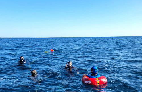 Mèna Mè - Casa vacanza - Salento - Foto 77