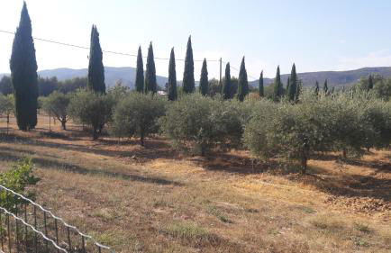 OUSTAOU DU GAYET gîte de charme avec piscine privée - Foto 42
