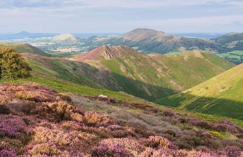1 Bed in Church Stretton oc-90929 - Photo 15