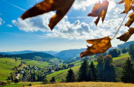 "Deluxe" Ferienwohnung Schwarzwald, 8 Personen, 140 qm, Haus Sonnenschein, 2 Balkone - Foto 16