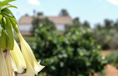 Bonita casa de campo Sa Vinya para relax y piscina privada - Foto 45