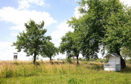 Ferienwohnungen Hof Luisenau - Foto 63