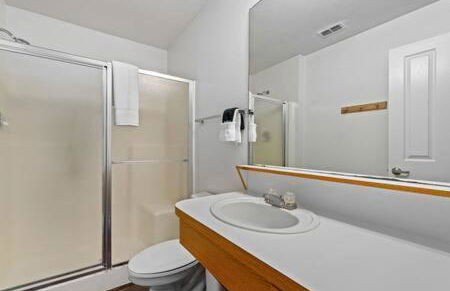 2 MI to USF + Long Term Stays allowed + Gym + Pool - Foto 24