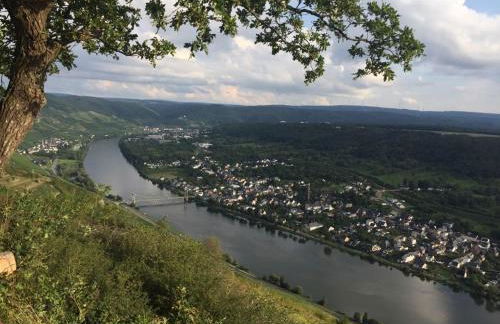 Ferienwohnung Mosel - Foto 18