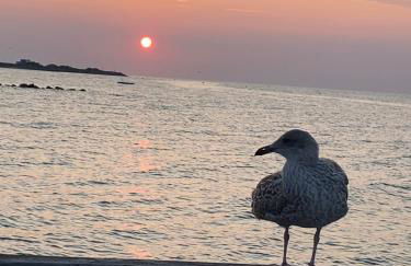 Strandbude 14 - Foto 23