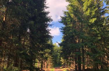 Casa „Ella“ - Photo 30