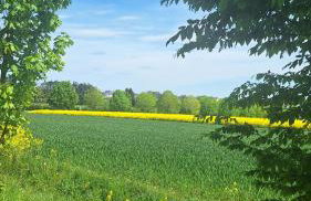Feriendomizil-Vulkaneifel - Foto 47