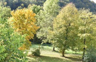 Heinfling Chalet Essing - Foto 45