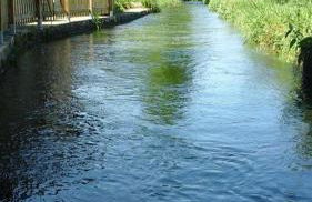 Agriturismo Helianthus - Foto 11