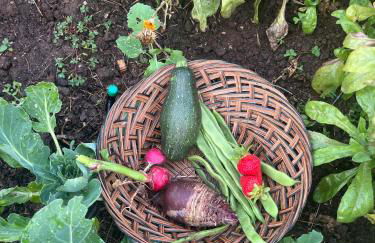 Refúgio das Tílias - Foto 26