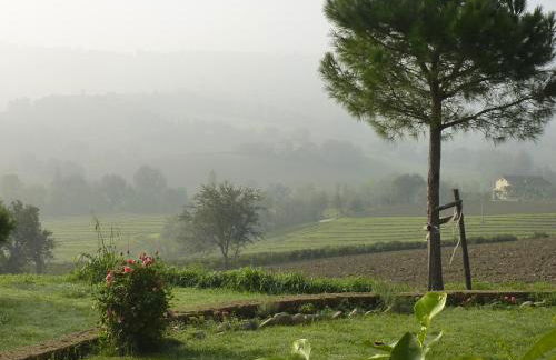 Casa Montale - Foto 42