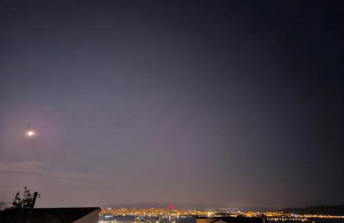 Sunflower Apartment - Photo 6