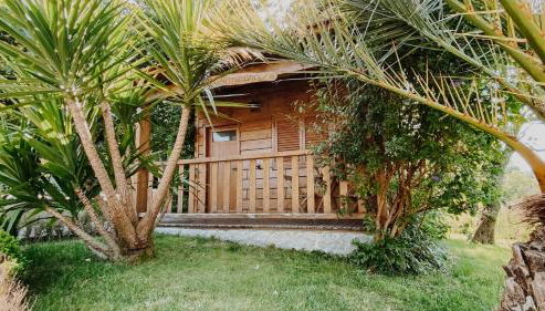 Quinta Do Padrao - Foto 5