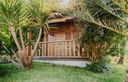 Quinta Do Padrao - Foto 5